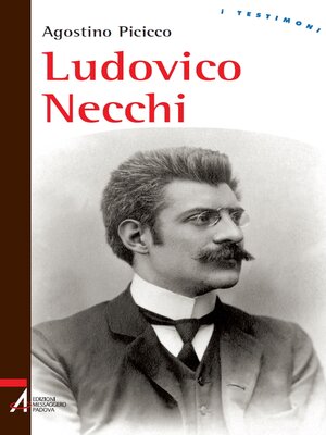 cover image of Ludovico Necchi